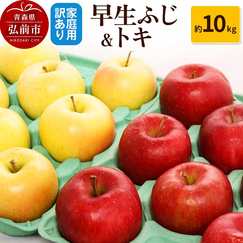 y25N10z񂲁y󂠂zƒp ӂgL 10kgXOOs21000ʕEt[c񂲁E