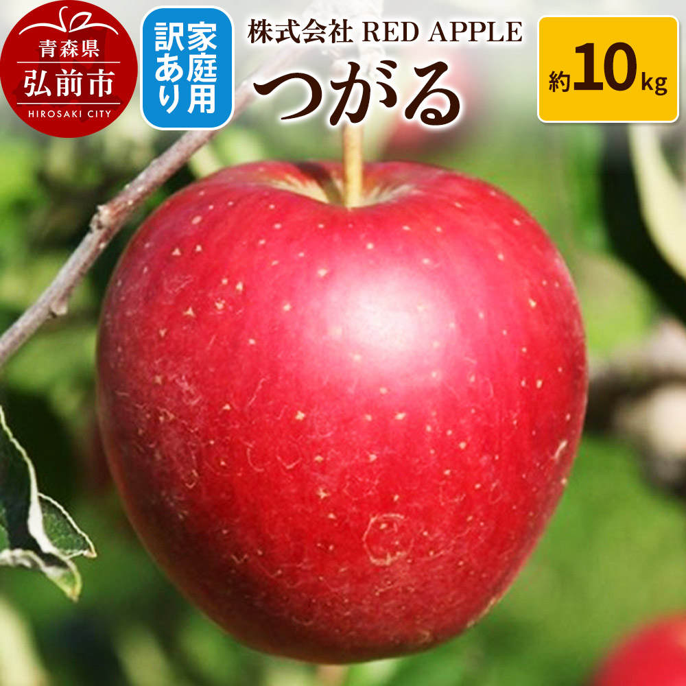 りんご【訳あり】家庭用 つがる 約10kg青森県弘前市24000果物・フルーツりんご・梨
