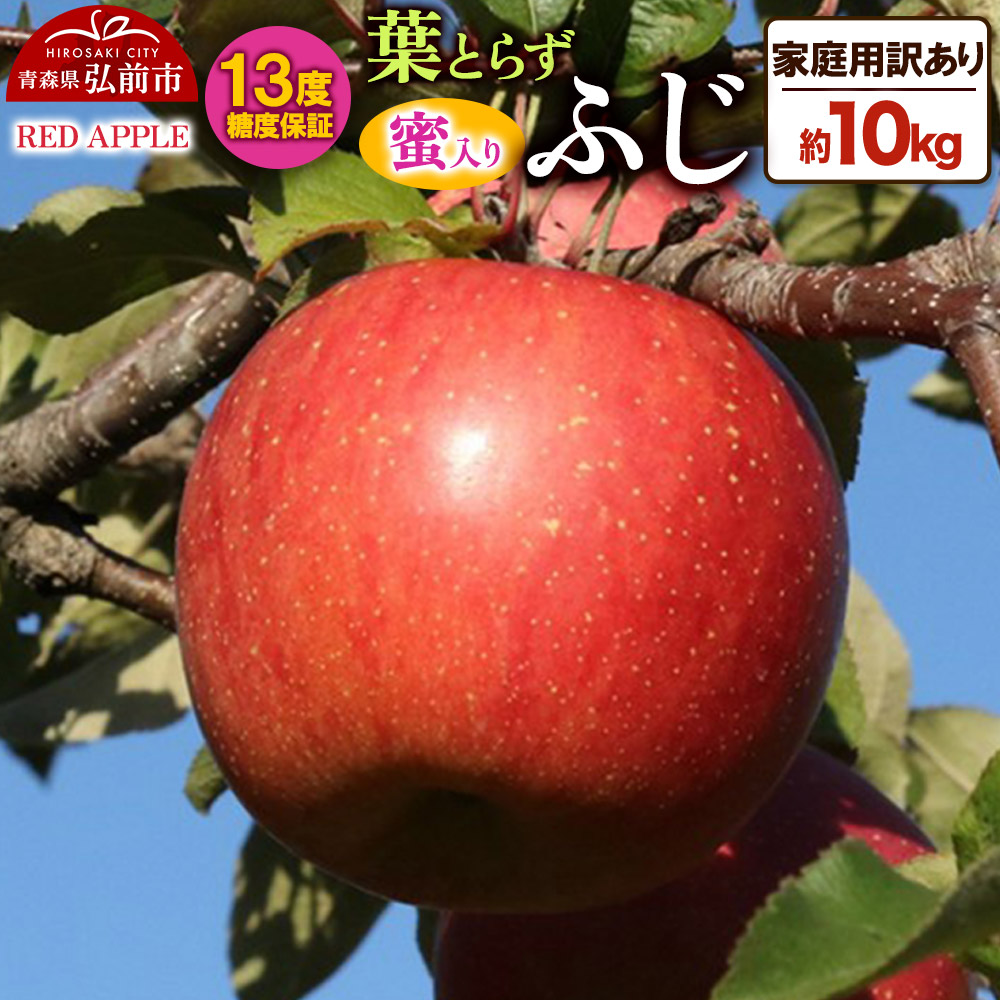 【25年12月発送】りんご 蜜入り 13度糖度保証【訳あり】家庭用 葉とらずふじ 約10kg青森県弘前市21000果物・フルーツりんご・梨