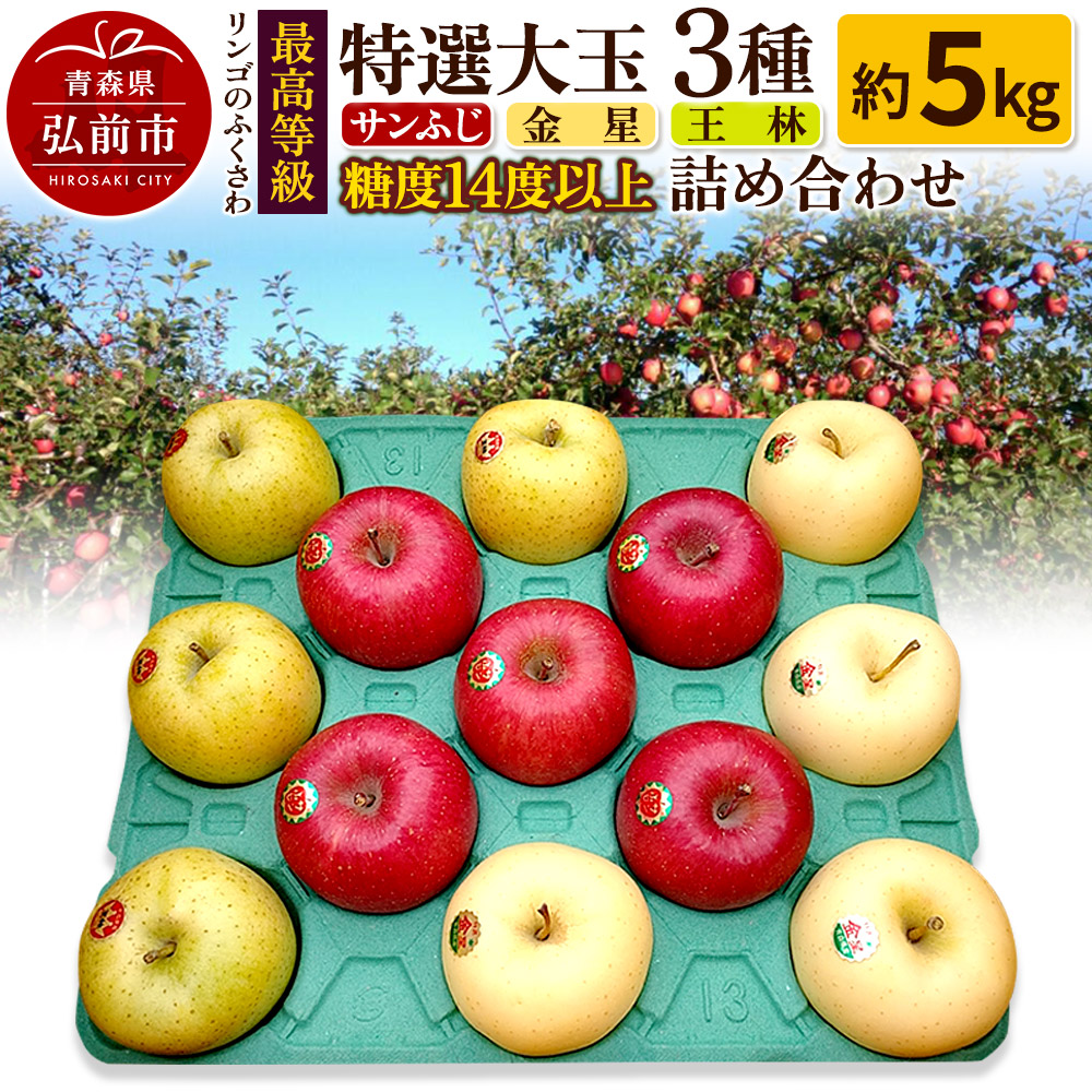 y25N11`z ō I 3lߍ킹 5kgiTӂEEсjx14xȏXOOs23000ʕEt[c񂲁E