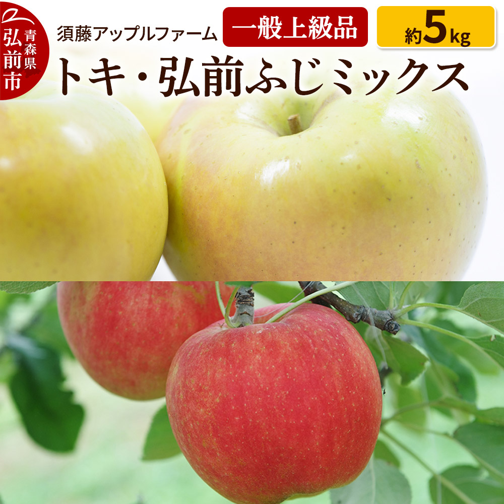 りんご トキ・ひろさきふじミックス 一般用上級品 約5kg青森県弘前市18000果物・フルーツりんご・梨