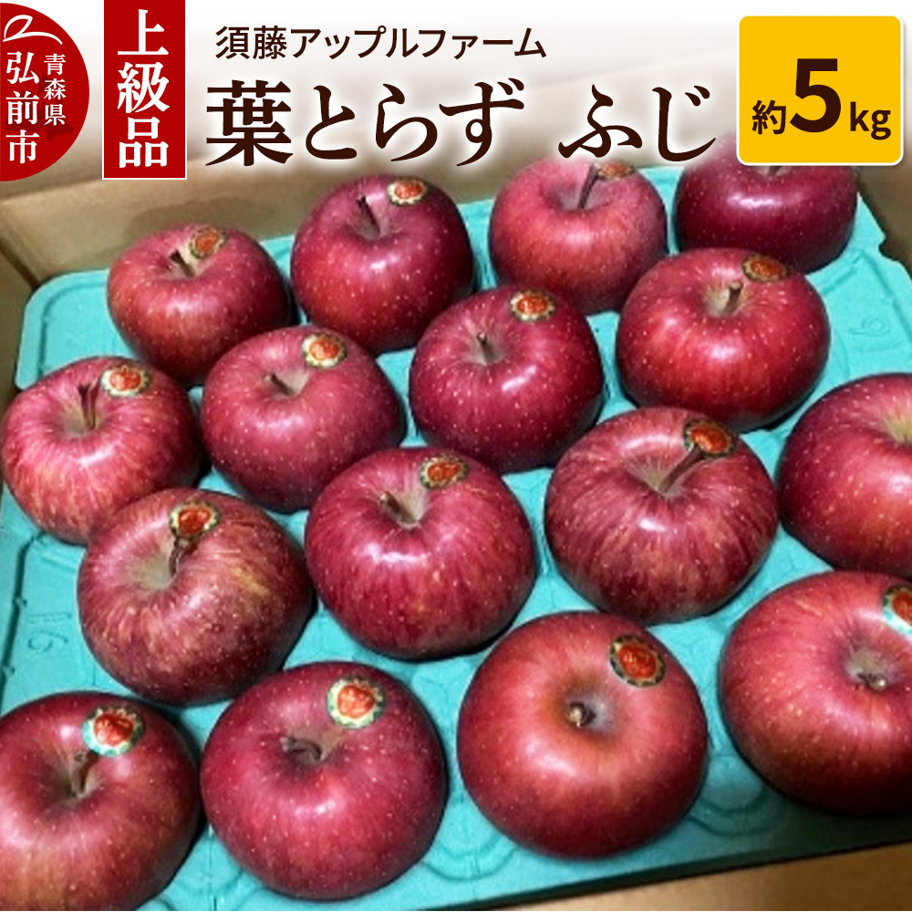 【25年12月発送】りんご 上級品 葉とらず ふじ 約5kg青森県弘前市15000果物・フルーツりんご・梨