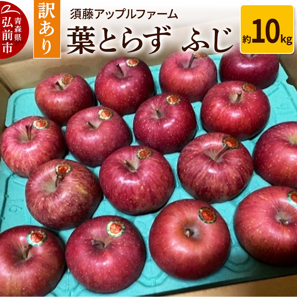 【25年12月発送】りんご【訳あり】家庭用 葉とらず ふじ 約10kg青森県弘前市15000果物・フルーツりんご・梨
