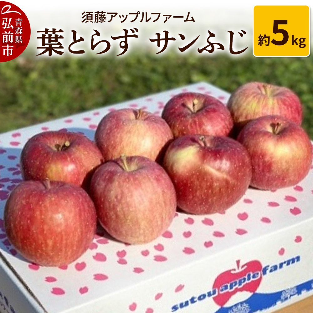 【26年1月発送】りんご 葉とらず サンふじ 約5kg青森県弘前市15000果物・フルーツりんご・梨