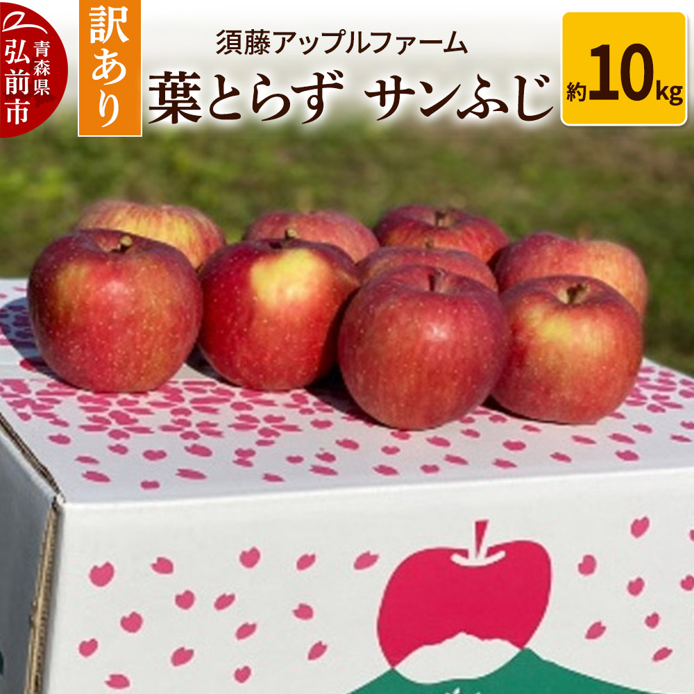 【26年1月発送】りんご【訳あり】家庭用 葉とらず サンふじ 約10kg青森県弘前市15000果物・フルーツりんご・梨