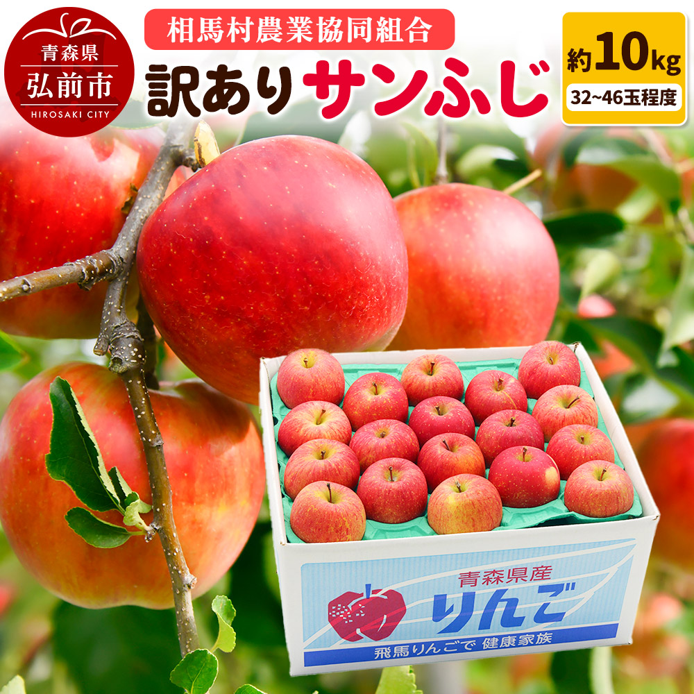 【26年3月発送】りんご【訳あり】サンふじ 約10kg(32〜46玉程度)青森県弘前市20000果物・フルーツりんご・梨