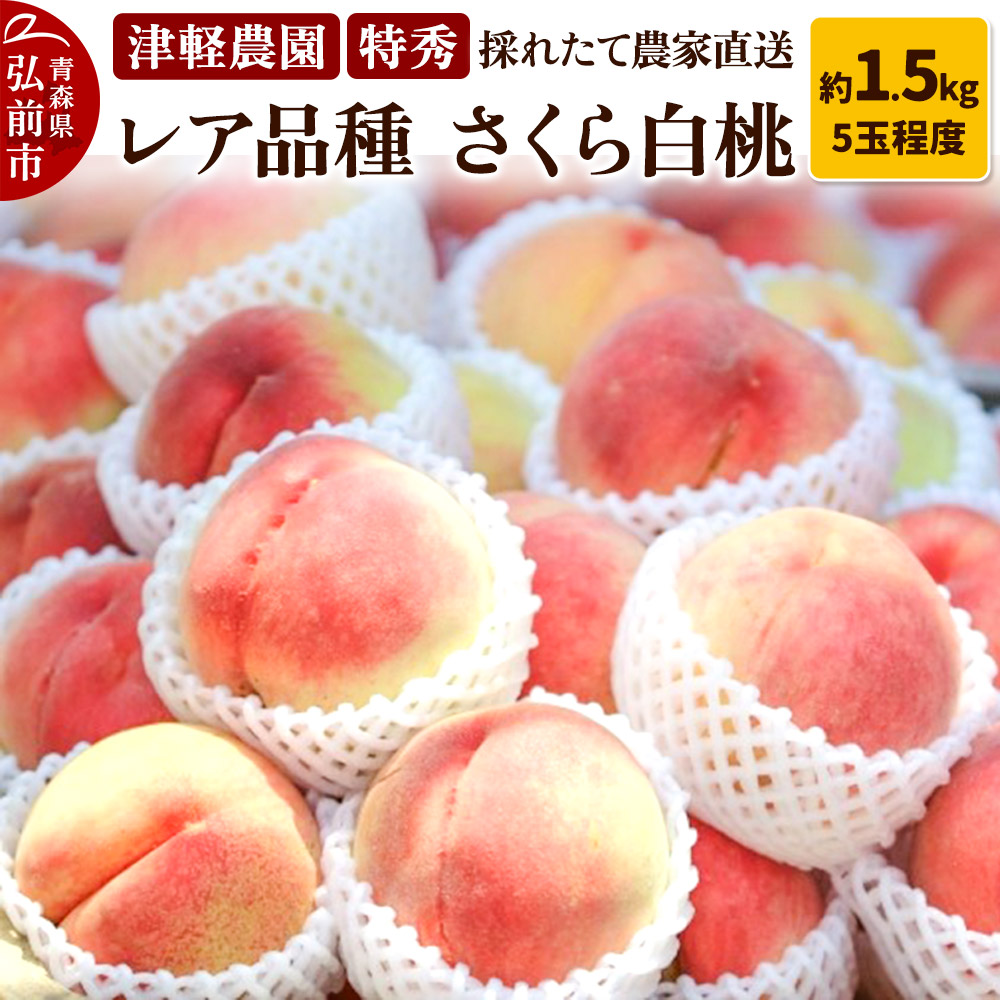 y25N9zy2025NY Ai 甒zG 1.5kg 5ʒx Ìy_ ̂ꂽ _ƒXOOs14000ʕEt[c