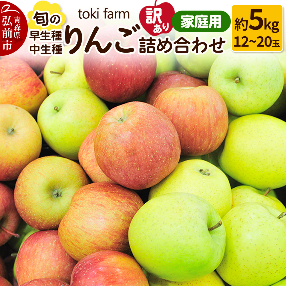 【25年10月発送】りんご【訳あり】旬のりんご 早生種・中生種詰め合わせ 約5kg(12〜20玉程度)家庭用 toki farm 林檎 アップル 果実 果物 詰め合わせ 詰合 美味青森県弘前市17000果物・フルーツ