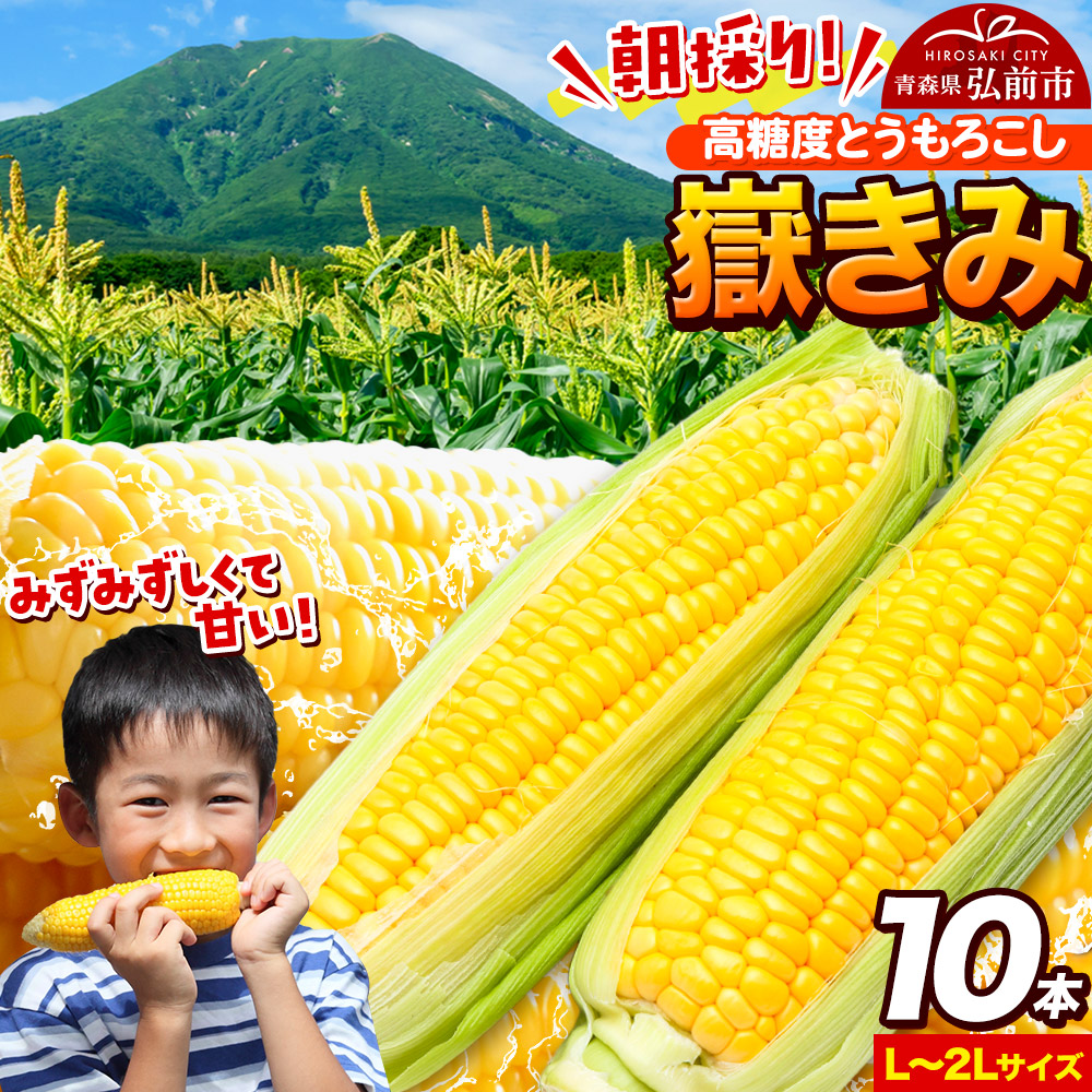 ゆう　嶽きみ 青森県嶽産 とうもろこし 朝採り 2Lサイズ 20本 新鮮朝採り！青森県産とうもろこし「嶽きみ」【15本セット