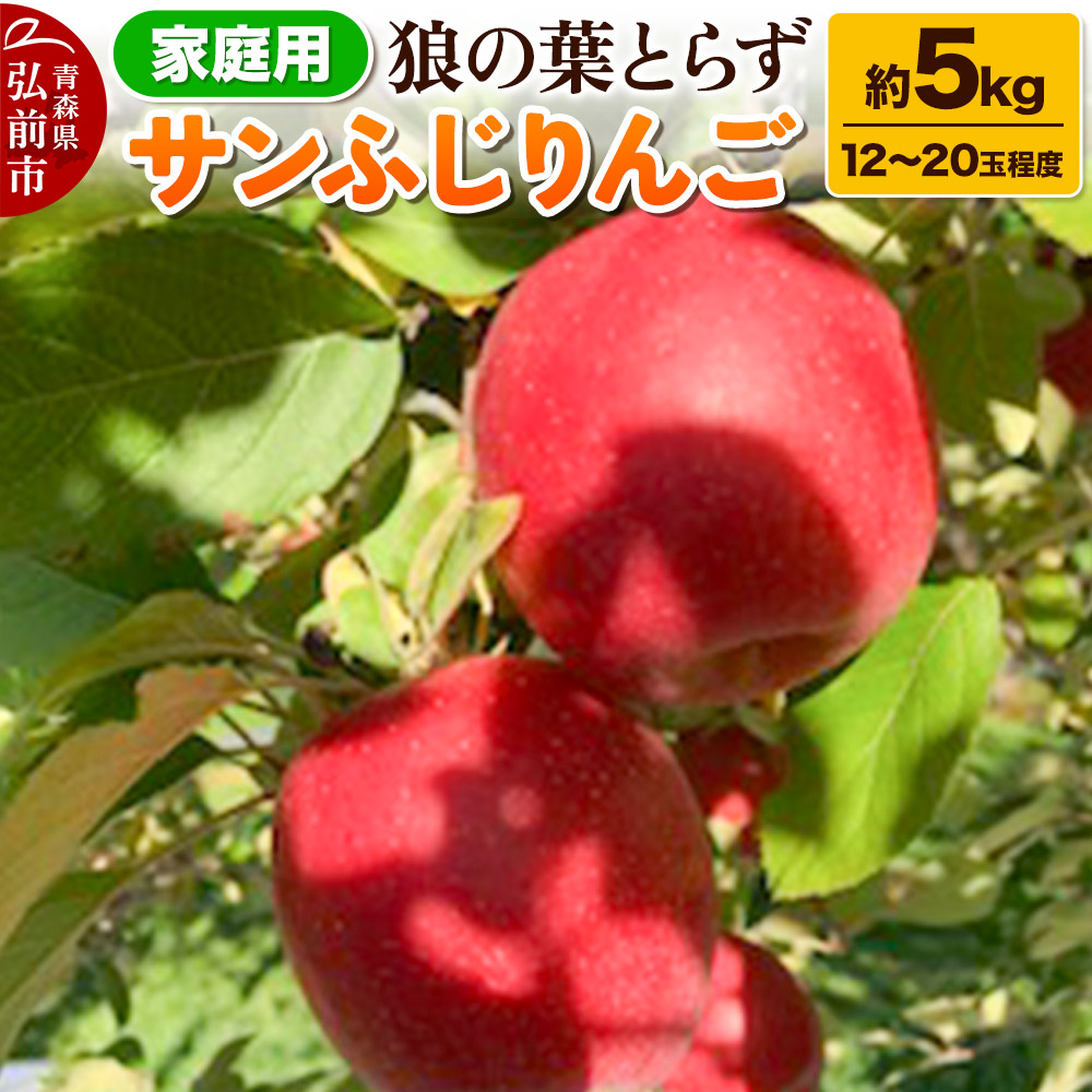 【25年12月〜発送】りんご サンふじりんご 狼の葉とらず 約5kg(12玉〜20玉程度)家庭用【訳あり】青森県弘前市15000果物・フルーツりんご・梨