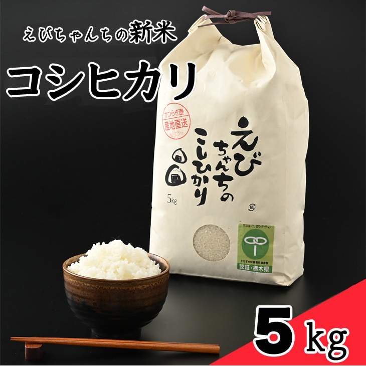 えびちゃんちの米 さくら市葛城産 5Kg 令和4年産 ≪令和6年産 米 お米 白米 ご飯 栃木県産 ≫栃木県さくら市13000米・パン白米