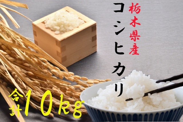 【令和7年度産新米】栃木県さくら市産コシヒカリ精米10kg(精米5kg×2袋)|お米 ご飯 美味しい 産地直送 おうちごはん 白米 新米 自宅用 ※2025年10月上旬頃より順次発送予定栃木県さくら市29