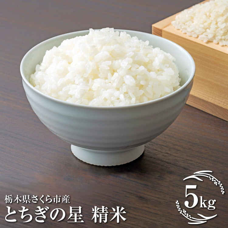 令和7年度 栃木県さくら市産とちぎの星 精米5kg|米 白米 コメ こめ 菜っ葉館※2025年11月上旬頃から順次発送予定栃木県さくら市14000米・パン白米