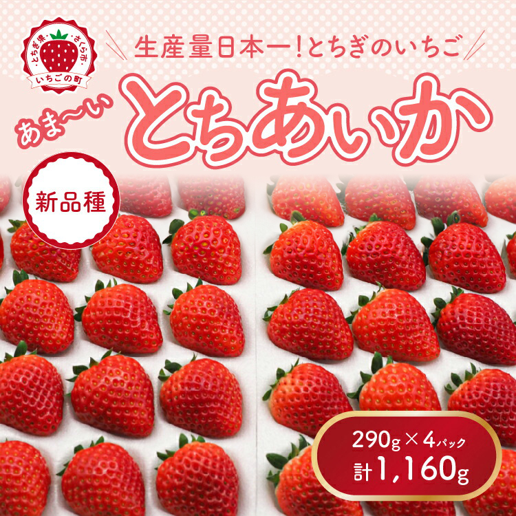 【先行予約】【数量限定】とちあいか 290g×4パック|いちご イチゴ 苺 先行予約 栃木県 果物 くだもの フルーツ とちあいか 新鮮 贈答 ギフト 食べ比べ 真空パック ※2025年11月上旬頃より順