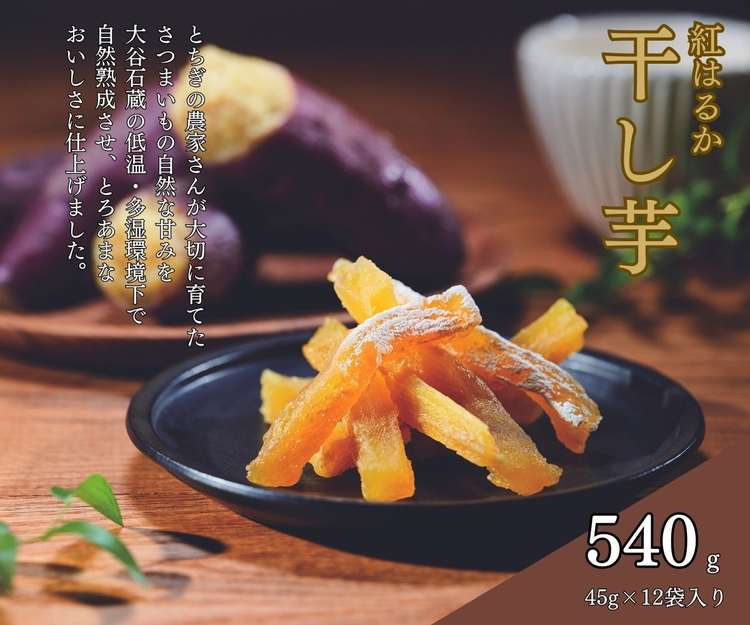 ̊Ȗ؍g͂邩iv540g/45g×12܁jbY Ȗ،Y ق XeBbN^Cv ᎉ ǂ  ܂ َq s֓Ȗ،s13000َqEXC[c