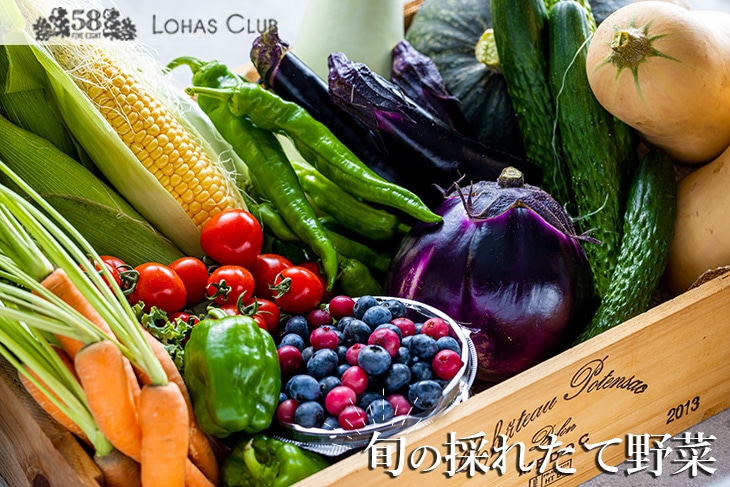 旬の採れたて野菜《珍し!新鮮イタリア野菜》|季節 新鮮 お野菜 お試し セット 詰合せ おまかせ 直送 イタリアン ※2024年8月上旬〜11月下旬頃に順次発送予定栃木県さくら市10000野菜・きの