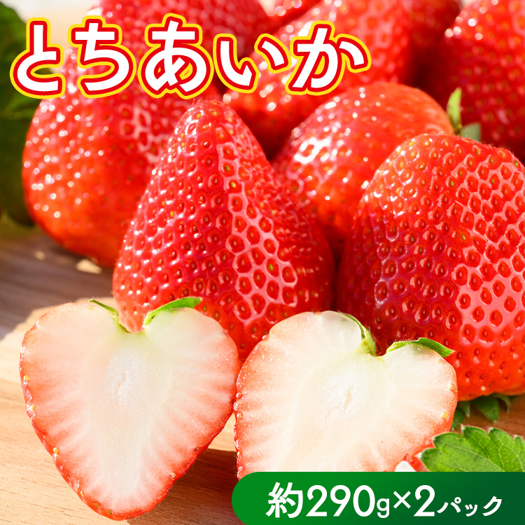 いちご(とちあいか) 290g×2パック 580g以上|先行予約 数量限定 栃木県 果物 くだもの フルーツ 苺 イチゴ ※2025年11月下旬〜2026年3月下旬頃に順次発送予定栃木県さくら市5000果物・フルーツ