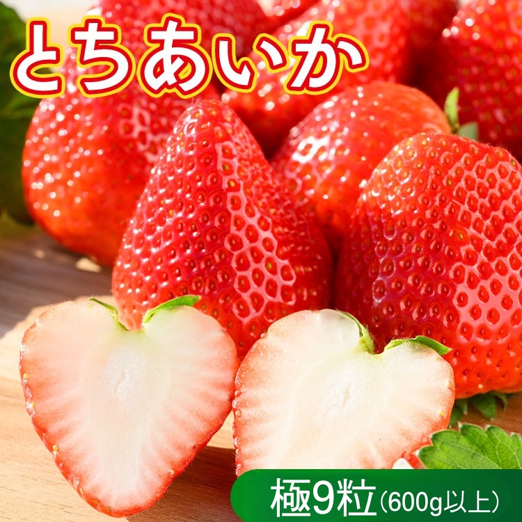 いちご(とちあいか 極)9粒 600g以上|先行予約 数量限定 栃木県 果物 くだもの フルーツ 苺 イチゴ ※2025年12月上旬〜2026年2月下旬頃に順次発送予定栃木県さくら市9000果物・フルーツいち
