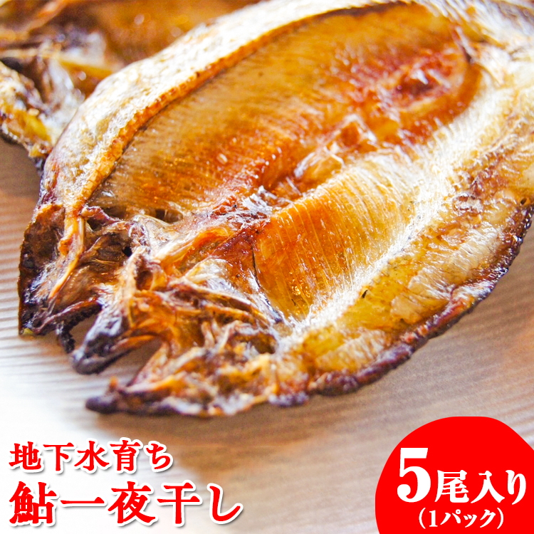 n炿@銱@5Ȗ،s7000ZbgE؁EHHi