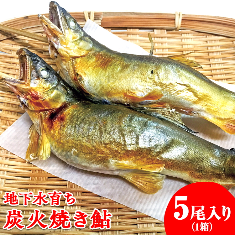 地下水育ち 炭火焼き鮎5尾入り栃木県さくら市9000鍋セット・総菜・加工食品総菜