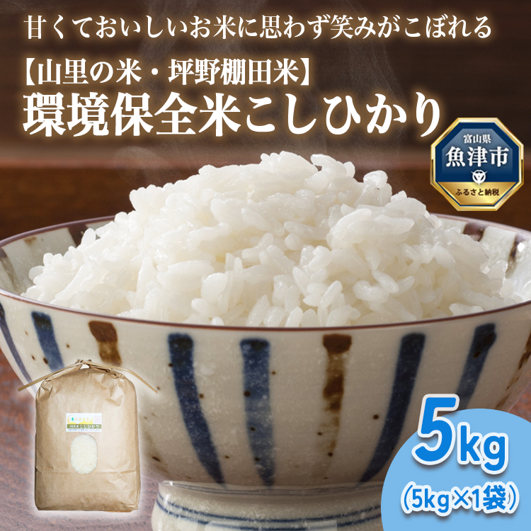 山の湧き水 寒暖差 山里 山里の米・坪野米 R7年産 環境保全米こしひかり 5kg ※北海道・沖縄・離島への配送不可 ※2025年9月下旬〜2025年10月中旬頃に順次発送予定富山県魚津市17000米・パン