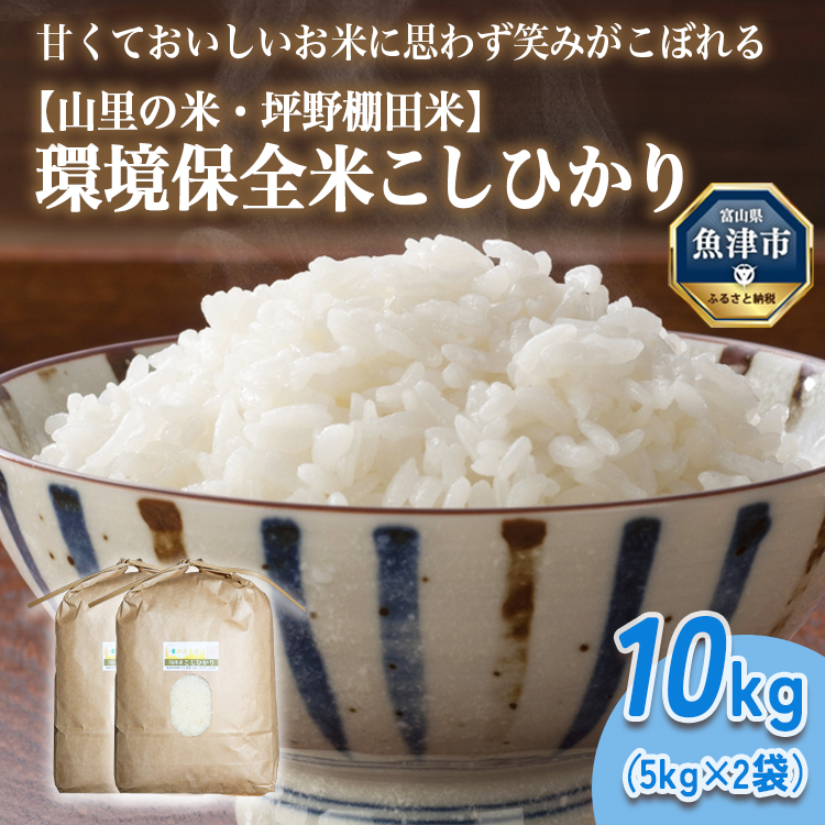 山の湧き水 寒暖差 山里 山里の米・坪野米 R7年産 環境保全米こしひかり 10kg ※北海道・沖縄・離島への配送不可 ※2025年9月下旬〜2025年10月中旬頃に順次発送予定富山県魚津市31000米・パ