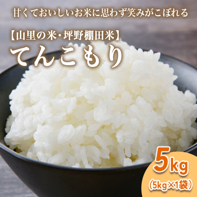 山の湧き水 寒暖差 山里 山里の米・坪野棚田米 R7年産 てんこもり5kg ※北海道・沖縄・離島への配送不可 ※2025年10月中旬〜2026年9月中旬頃に順次発送予定富山県魚津市16500米・パン白米