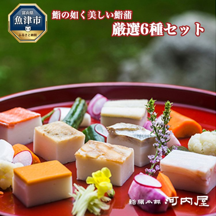 鮨の如く美しい鮨蒲 厳選6種 | かまぼこ 蒲鉾 カマボコ セット 富山 贈り物 魚貝類 かまぼこ 練り製品 練り物 練り物 ※北海道・沖縄・離島への配送不可富山県魚津市23500魚介・海産物その