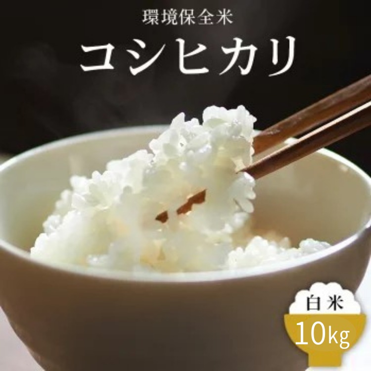 令和7年産 白米 環境保全米 コシヒカリ 10kg|棚田米 お米 こしひかり こめ コメ 精米 おこめ もちもち 冷めても 美味しい 高品質 富山 魚津※北海道・沖縄・離島への配送不可 ※2025年10月上
