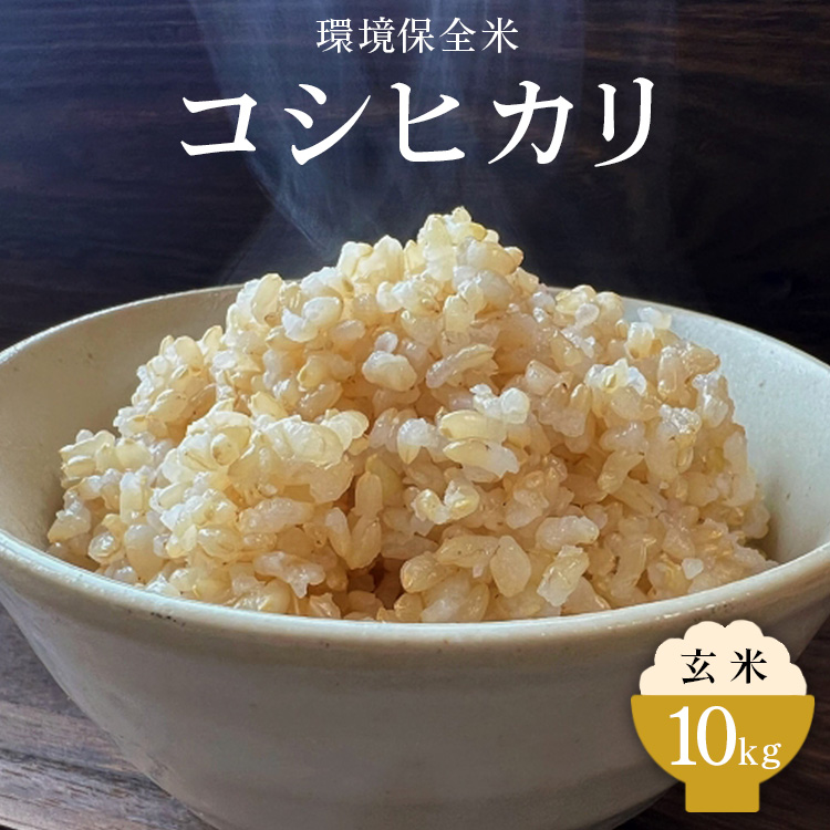 令和7年産 環境保全米コシヒカリ 玄米10kg【北アルプス剣岳源流早月川最上流の棚田米】|お米 こしひかり ※北海道・沖縄・離島への配送不可 ※2025年10月上旬〜2026年3月下旬頃に順次発送予