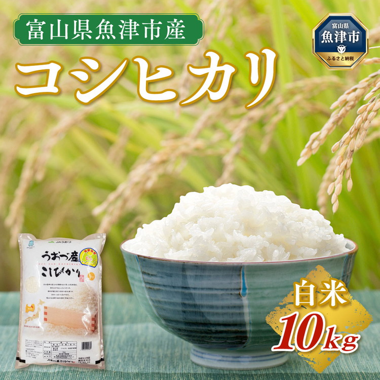 【令和7年度米】富山県 うおづ産米「コシヒカリ」10kg(5kg×2袋)(精米)|こしひかり 新米 こめ コメ お米 おこめ 白米 精米 雪解け水 香り うまみ あまみ 美味しい 自慢 高品質 富山 魚津