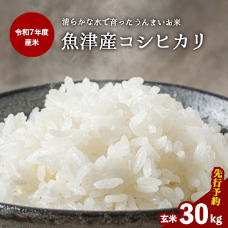 【先行予約】【R7年度産米】収穫後すぐにお届け 富山県魚津市 布施の里コシヒカリ玄米30kg ※北海道・沖縄・離島への配送不可 ※2025年9月下旬頃より順次発送予定富山県魚津市80000米・パ