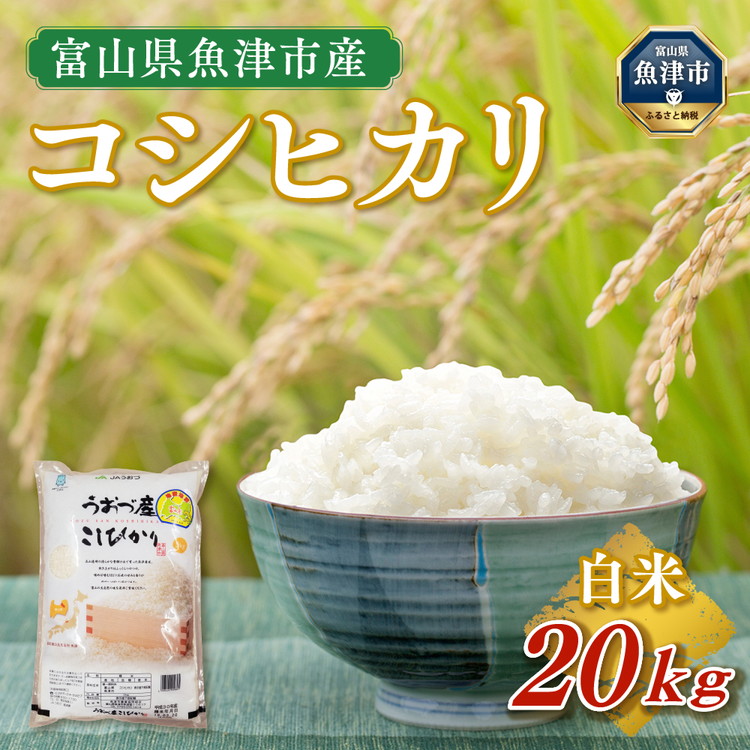 【令和7年度米】富山県 うおづ産米「コシヒカリ」20kg(5kg×4袋)(精米)|こしひかり こめ コメ お米 おこめ 白米 精米 雪解け水 香り うまみ あまみ 冷めても 美味しい おにぎり お弁当 高