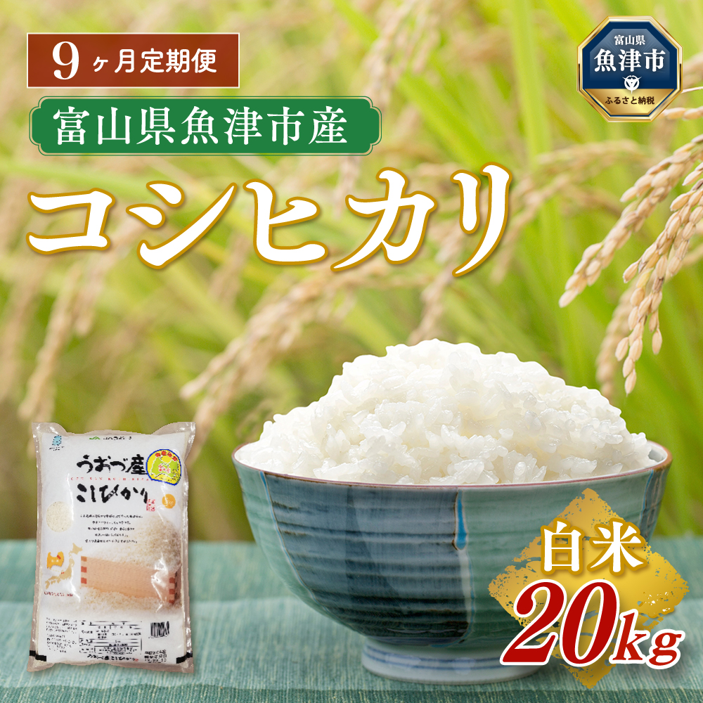 【令和7年度米】【9ヶ月定期便】富山県 うおづ産米「コシヒカリ」20kg(5kg×4袋)(精米)|9ヶ月定期便 9回 9ヶ月 こしひかり こめ コメ お米 おこめ 白米 精米 雪解け水 香り うまみ あまみ
