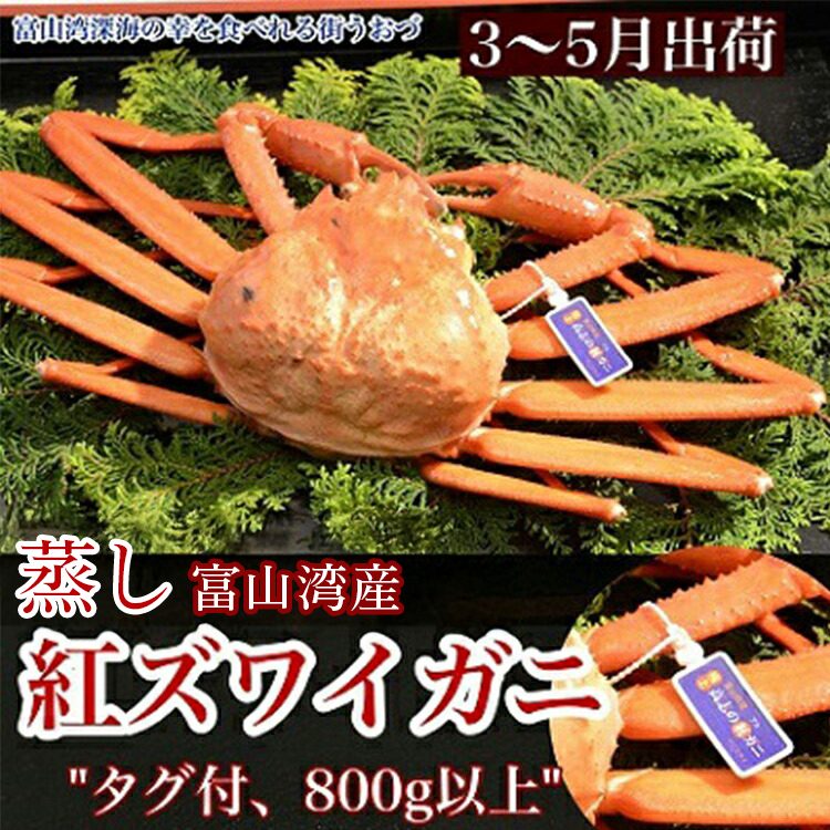 【3-5月出荷】蒸し紅ズワイガニ 1匹(約800g以上) | ずわい蟹 ずわいガニ ズワイガニ ※2026年3月上旬〜5月下旬頃に順次発送予定 ※北海道・沖縄・離島への配送不可富山県魚津市25000魚介