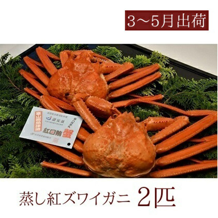 【3-5月出荷】蒸し紅ズワイガニ 2匹 | ずわい蟹 ずわいガニ ズワイガニ ※2026年3月上旬〜5月下旬頃に順次発送予定 ※北海道・沖縄・離島への配送不可富山県魚津市21000魚介・海産物カニ