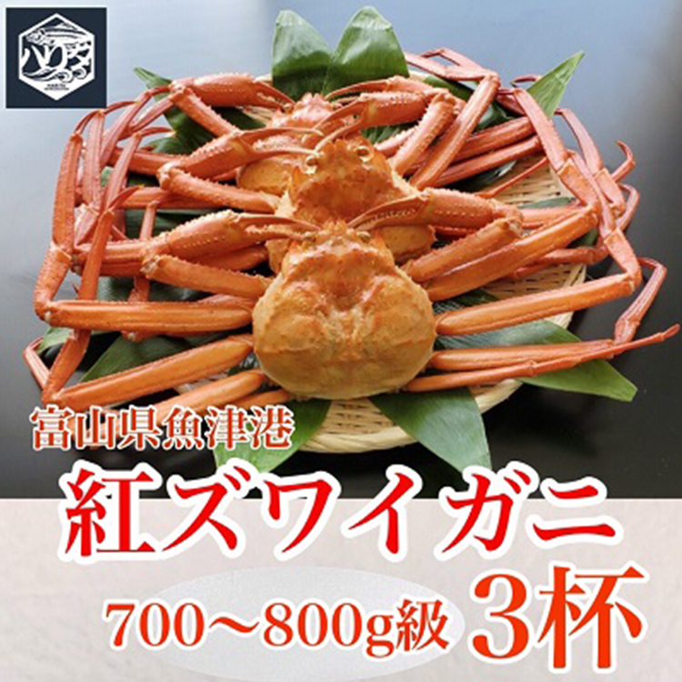 【冷蔵・ボイル済】魚卸問屋のベニズワイガニ 700〜800g級×3杯|魚貝類 魚介類 海鮮 はりたや ずわい蟹 ずわいガニ 紅ズワイガニ 大きめ セット 濃厚かにみそ 蟹しゃぶ 蟹飯 人気 豪華 お取