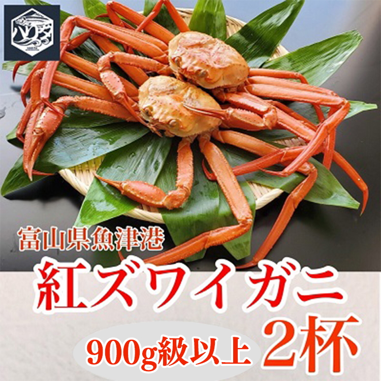 【冷蔵・ボイル済】魚卸問屋のベニズワイガニ 900g級以上×2杯|はりたや 魚貝類 魚介類 海鮮 ずわい蟹 ずわいガニ 紅ズワイガニ 大きい セット 濃厚かにみそ 蟹しゃぶ 蟹飯 カニ鍋 人気 豪