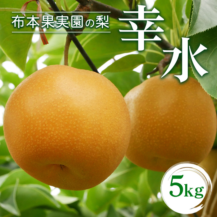 【早期予約】布本果実園の梨「幸水」5kg ※北海道・沖縄・離島への配送不可 ※2025年8月下旬頃より順次発送予定富山県魚津市17500果物・フルーツりんご・梨
