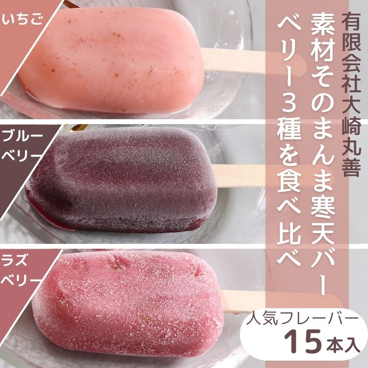 素材そのまんま寒天バー 人気のベリー3種を食べ比べ 15本入 | お菓子 スイーツ 寒天 和菓子 生菓子 ※2025年6月上旬〜9月上旬頃に順次発送予定 ※北海道・沖縄・離島への配送不可富山県魚