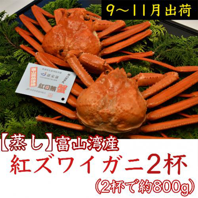【9-11月出荷】蒸し紅ズワイガニ 2杯 | 甲殻類 海の幸 海鮮 蒸し加工 水揚げ 後すぐ 旨味 凝縮 晩酌 お酒 お供 あて 肴 つまみ 富山県産 魚津市産 ※2025年9月下旬〜11月下旬頃に順次発送予定