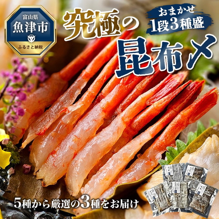 究極の昆布〆、お任せ1段3種盛(急速冷凍品)魚卸問屋はりたや 富山県魚津市 昆布締め こぶじめ 刺身 天然昆布 ※北海道・沖縄・離島への配送不可富山県魚津市23500魚介・海産物その他 魚