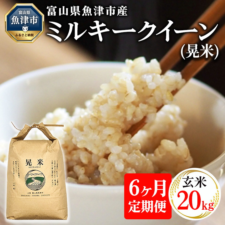【6ヶ月定期便】【令和6年度米】「魚津のミルキークイーン(晃米)」20kg(玄米) |新米 環境配慮 MK農産 お米 ブランド米 銘柄米 玄米 ご飯 おにぎり 産地直送 甘み 粘り もちもち ※2024年1