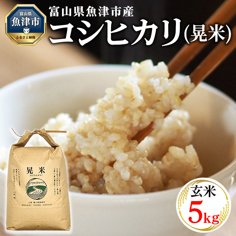 【令和7年度米】【先行予約】【農家直送】環境配慮「魚津のコシヒカリ(晃米)」5kg(玄米) |新米 MK農産 玄米 銘柄米 ブランド米 ご飯 おにぎり お弁当 和食 主食 国産 産地直送 甘み 香