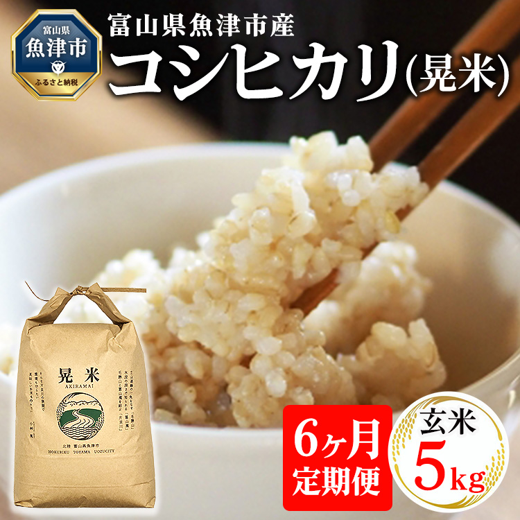【6ヶ月定期便】【令和7年度米】【先行予約】【農家直送】環境配慮「魚津のコシヒカリ(晃米)」5kg(玄米) |新米 環境配慮 MK農産 お米 ブランド米 銘柄米 玄米 ご飯 おにぎり 産地直送