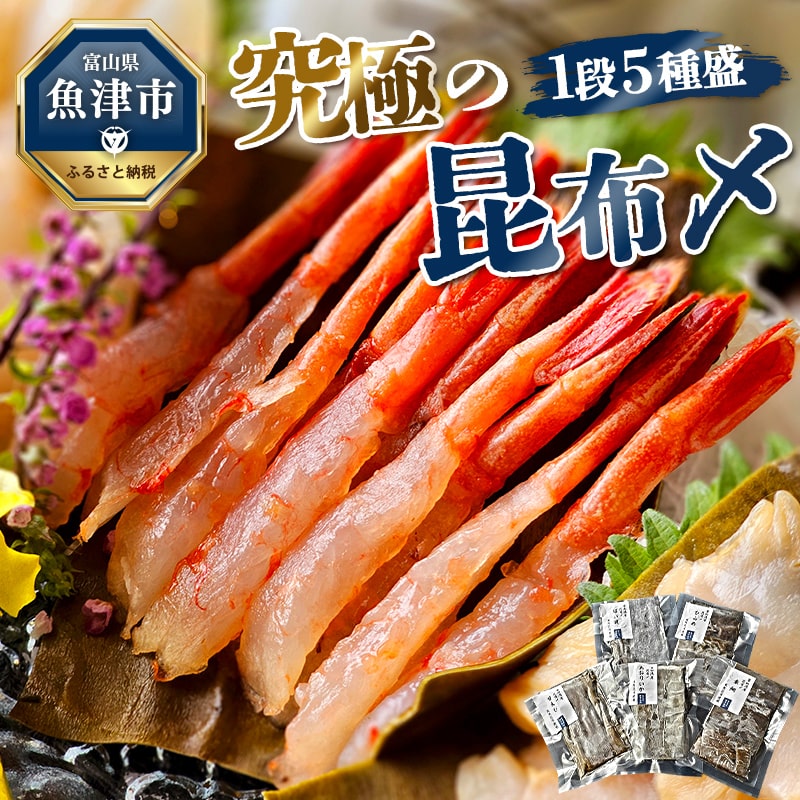究極の昆布〆、1段5種盛(急速冷凍品)魚卸問屋はりたや 富山県魚津市 昆布締め こぶじめ 刺身 天然昆布 ※北海道・沖縄・離島への配送不可富山県魚津市36000魚介・海産物その他 魚介・海