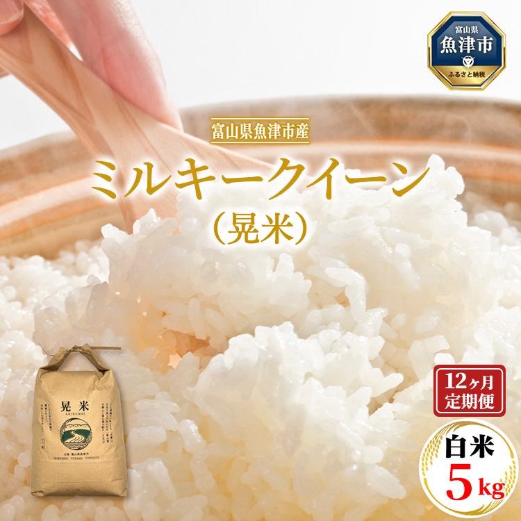【12ヶ月定期便】【令和6年度米】「魚津のミルキークイーン(晃米)」5kg(白米) |新米 環境配慮 MK農産 お米 ブランド米 銘柄米 精米 ご飯 おにぎり 産地直送 甘み 粘り もちもち ※2024年1
