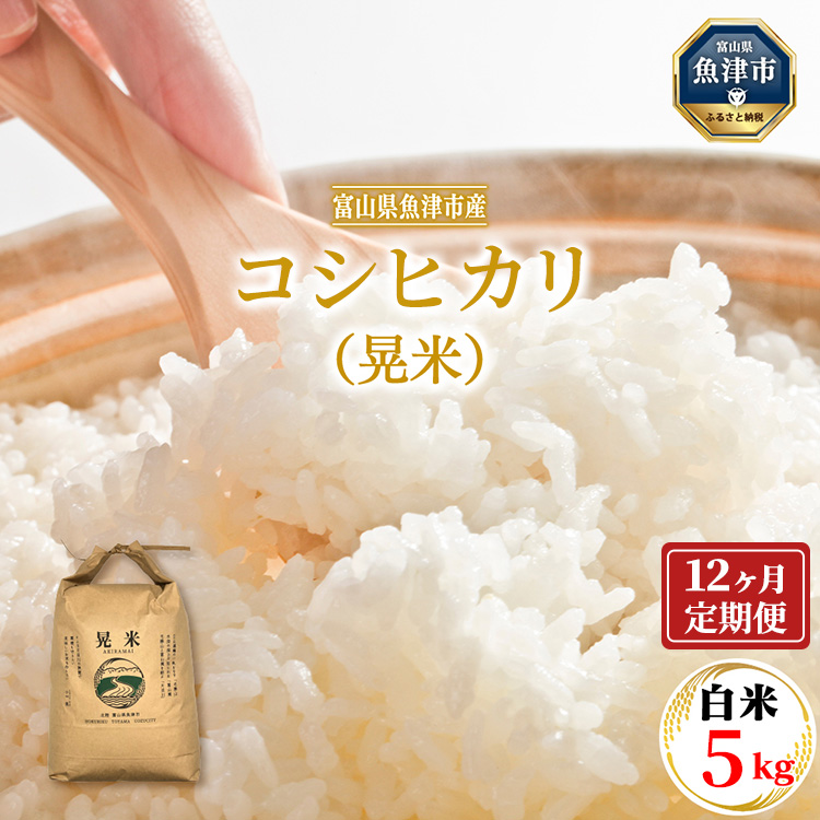 【12ヶ月定期便】【令和7年度米】【先行予約】【農家直送】「魚津のコシヒカリ(晃米)」5kg(白米) |新米 環境配慮 MK農産 お米 ブランド米 銘柄米 精米 ご飯 おにぎり 産地直送 甘み 旨