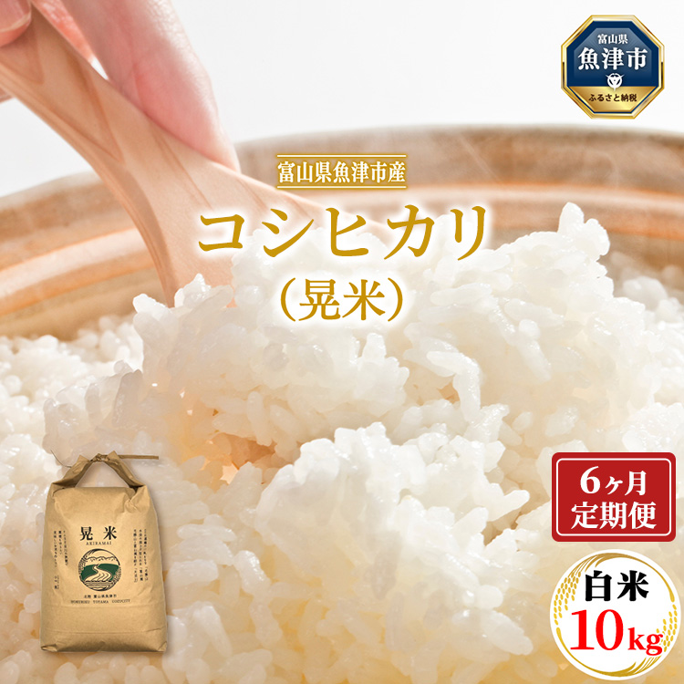 【6ヶ月定期便】【令和7年度米】【先行予約】【農家直送】「魚津のコシヒカリ(晃米)」10kg(白米) |新米 環境配慮 MK農産 お米 ブランド米 銘柄米 精米 ご飯 おにぎり 産地直送 甘み 旨
