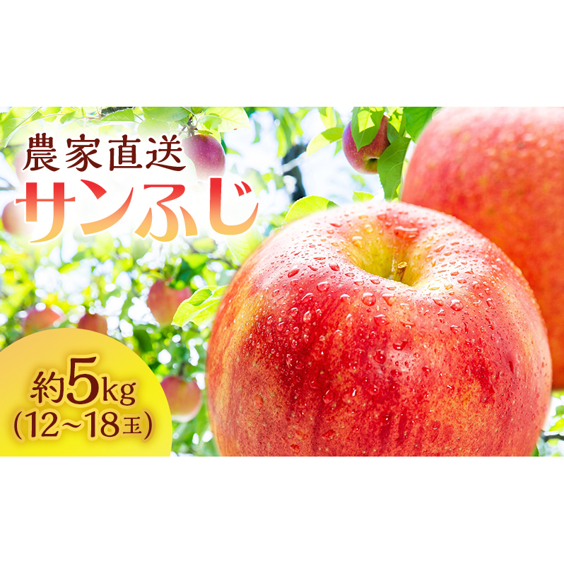 りんご 青森 サンふじ 約 5kg (12〜18玉) リンゴ サイキチ農園 青森県 鰺ヶ沢町産 フルーツ 果物 贈答用 贈答 ギフト 白神山地 果物類 林檎 サンフジ ふじ青森県鰺ヶ沢町18000果物・フルーツりん
